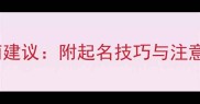 母泰迪取名字的15个高萌建议附起名技巧与注意事项让爱犬秒变网红