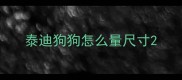 泰迪狗狗怎么量尺寸