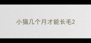 小猫几个月才能长毛