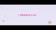 狗狗尿道炎吃什么药