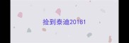 捡到泰迪2018