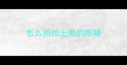 怎么拍哈士奇的眼睛