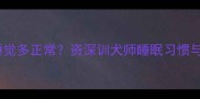 金毛幼犬睡觉多正常资深训犬师睡眠习惯与养护指南