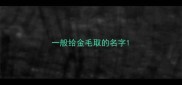 一般给金毛取的名字