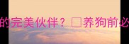 杜宾犬vs边牧谁才是你的完美伙伴养狗前必看对比攻略附选购指南