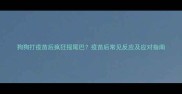 狗狗打疫苗后疯狂摇尾巴疫苗后常见反应及应对指南