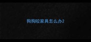 狗狗咬家具怎么办