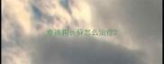 泰迪狗长藓怎么治疗