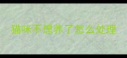 猫咪不想养了怎么处理