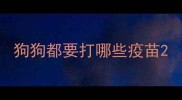 狗狗都要打哪些疫苗