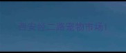 西安经二路宠物市场