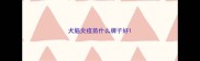 犬脑炎疫苗什么牌子好