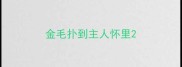 金毛扑到主人怀里
