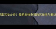 天津哪里买哈士奇最新宠物市场购买指南与避坑攻略