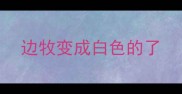 边牧变成白色的了