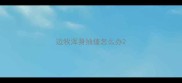 边牧浑身抽搐怎么办