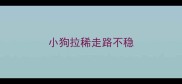 小狗拉稀走路不稳