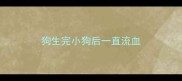 狗生完小狗后一直流血
