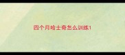 四个月哈士奇怎么训练