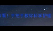 拉布拉多剪毛全攻略新手必看手把手教你科学护理毛孩子的皮毛健康