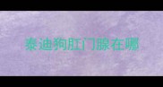 泰迪狗肛门腺在哪