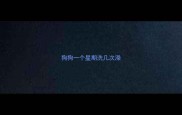 狗狗一个星期洗几次澡