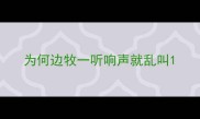 为何边牧一听响声就乱叫