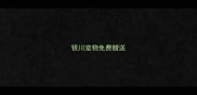 银川宠物免费赠送