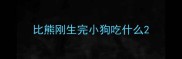比熊刚生完小狗吃什么