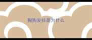 狗狗发抖是为什么