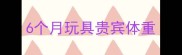 6个月玩具贵宾体重