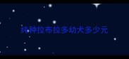 纯种拉布拉多幼犬多少元
