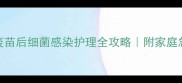 猫咪打疫苗后细菌感染护理全攻略附家庭急救指南