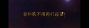 老年狗不用再打疫苗