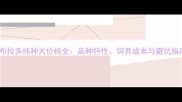 拉布拉多纯种犬价格全品种特性饲养成本与避坑指南