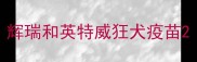辉瑞和英特威狂犬疫苗
