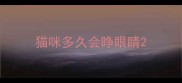 猫咪多久会睁眼睛