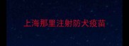 上海那里注射防犬疫苗