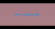 两个月吉娃娃犬多重