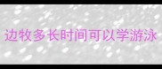 边牧多长时间可以学游泳