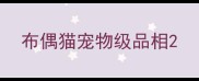 布偶猫宠物级品相