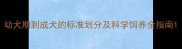 幼犬期到成犬的标准划分及科学饲养全指南