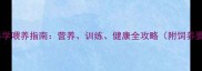 哈士奇五个月大科学喂养指南营养训练健康全攻略附饲养要点与疾病预防