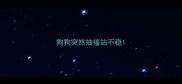 狗狗突然抽搐站不稳