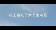 哈士奇吃了六个生鸡蛋