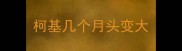 柯基几个月头变大