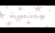 狗生小狗怎么处理小狗