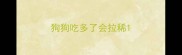 狗狗吃多了会拉稀