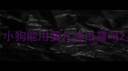 小狗能用婴儿沐浴露吗