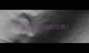 六个月的边牧拉稀